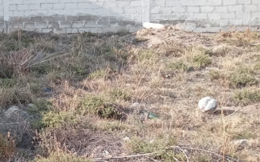 Terreno Pachuca