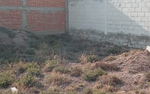 Terreno Pachuca